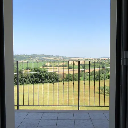 L'ulivo *